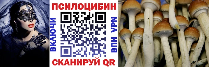 Галлюциногенные грибы Cubensis  Коломна 